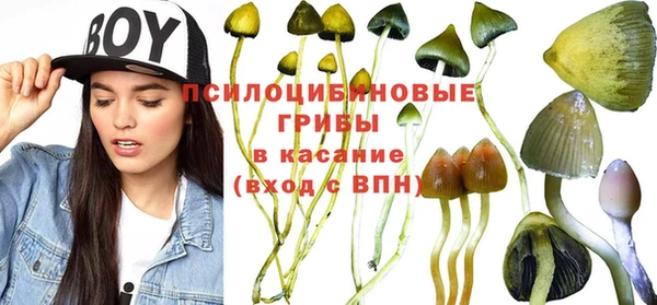 кокс Баксан